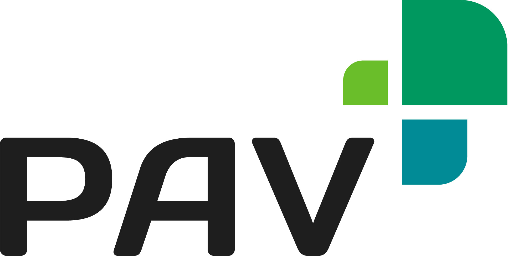 Logo PAV